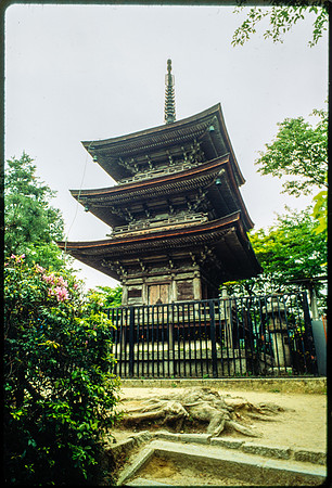 Dance tour in Japan 1993