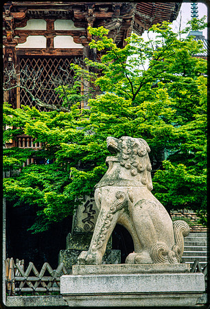 Dance tour in Japan 1993