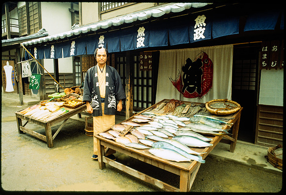 Dance tour in Japan 1993