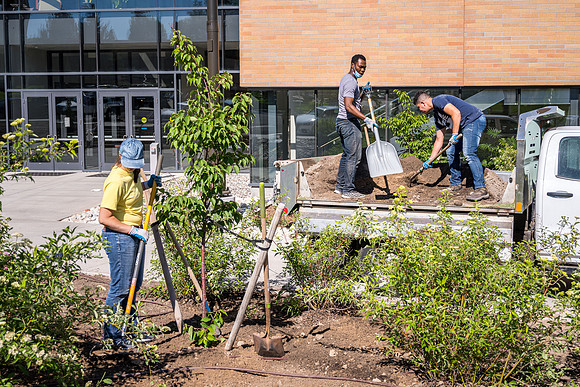 Cleaning up the grounds around the STC.