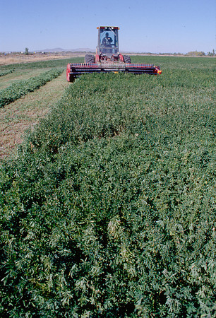 Agriculture Department