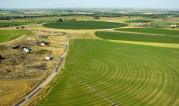 Fertile Fields