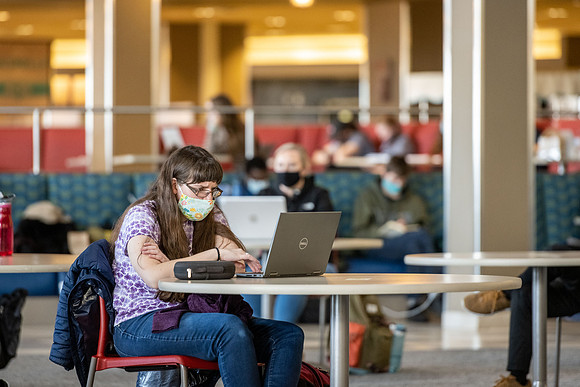 Student Studying - Nov 2020