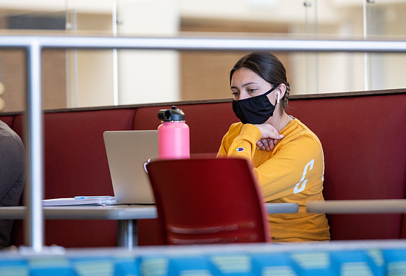 Student Studying - Nov 2020