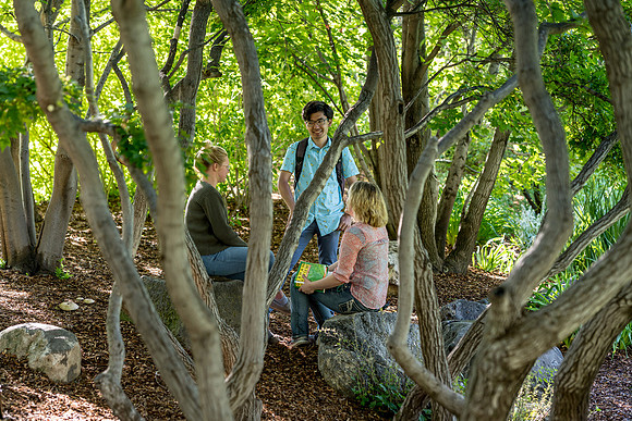 Students socializing in the gardens.