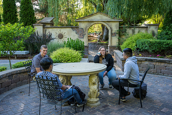 Gardens - June 2020