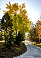 Campus Autumn - Oct 2024