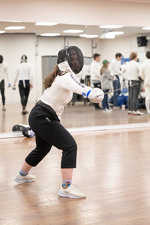 Fencing - June 2024