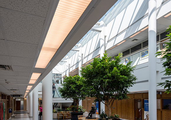 Lighting in the Kimball Building was updated to LED lights to help the University be more energy efficient.
