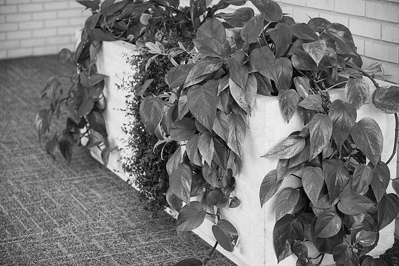 Social Media Scavenger Hunt - March 2025