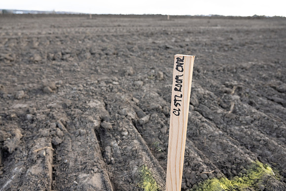 Groundbreaking Committee - Apr 2024