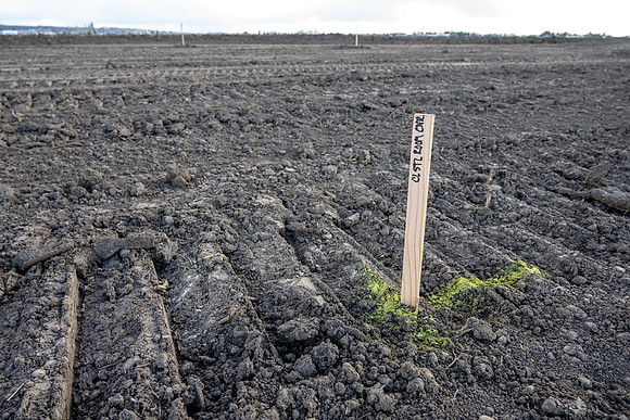 Groundbreaking Committee - Apr 2024
