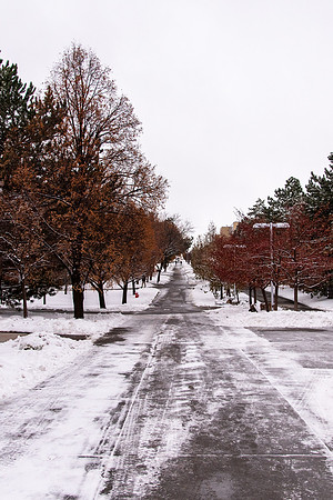 Snowy Campus - Nov 2020