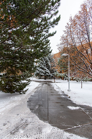 Snowy Campus - Nov 2020