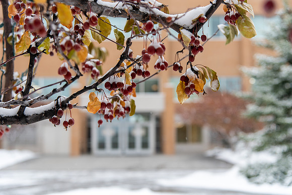 Snowy Campus - Nov 2020