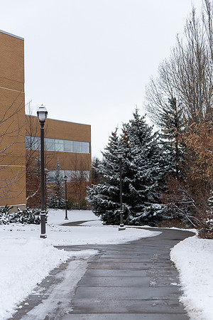 Snowy Campus - Nov 2020