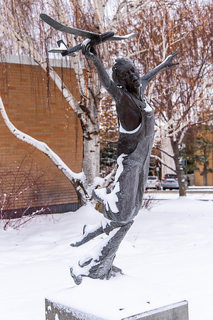 Snowy Campus - Nov 2020