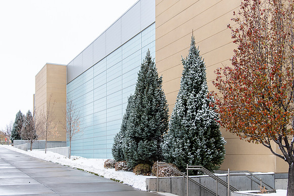 Snowy Campus - Nov 2020