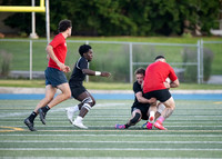 Rugby Championships.