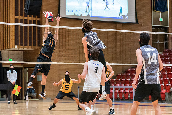 Men's Volleyball - Nov 2020
