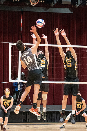 Men's Volleyball - Nov 2020