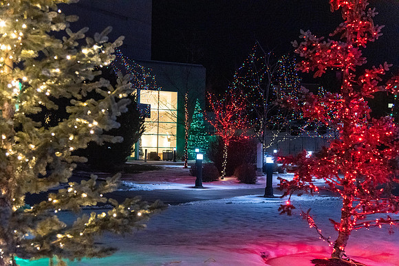 Campus Lights - Nov 2020