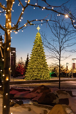 Campus Lights - Dec 2020