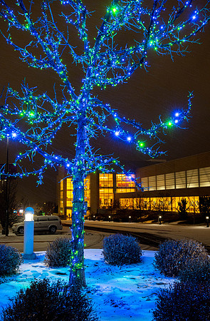 BYU-Idaho all lit up for the holidays.