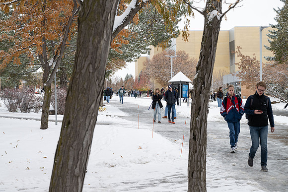 Campus Snow - Nov 2024