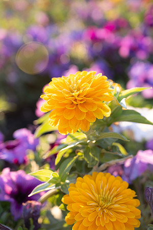 Nature on Campus - Aug 2024