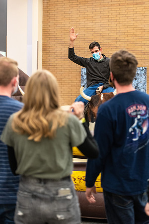 New Student Experience - Jan 2021