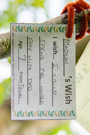 The elementary literacy practicum class put together a wishing tree activity for their elementary students. The class was reading the book "Wish Tree" with their students and decided to make their own