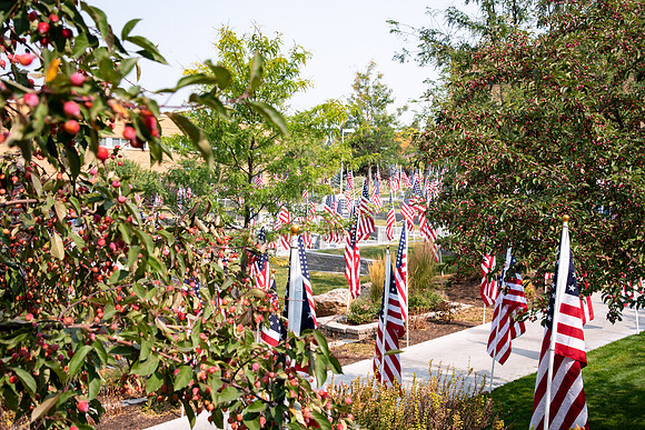 Flags all around the amphitheater in honor of Constitution day at BYU-Idaho.