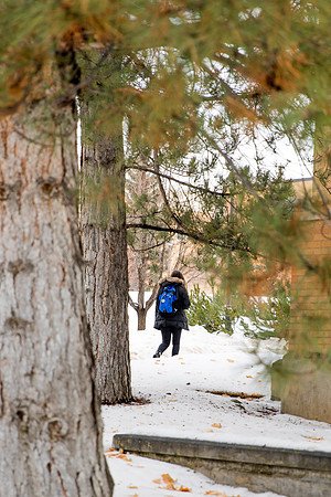 Afternoon walk around campus after snow during Covid-19 pandemic.