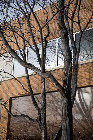 Afternoon walk around campus after snow during Covid-19 pandemic.