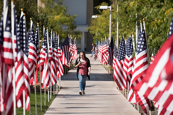 500 flags displayed in the Central Quad on Constitution Day.