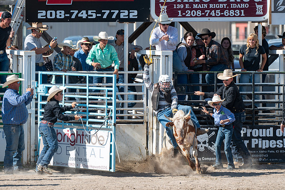 Spring Fest Rodeo - May 2025