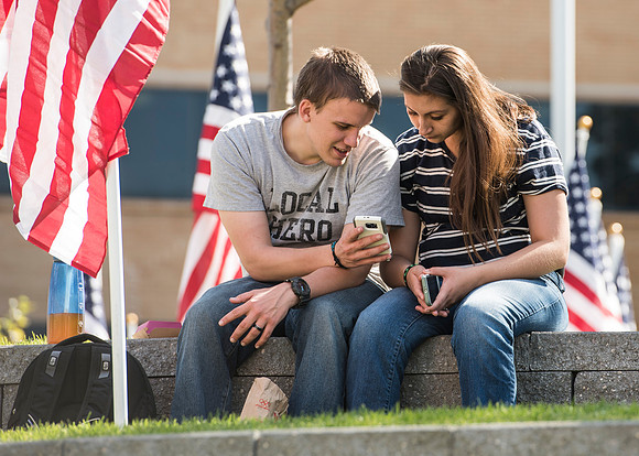 500 flags displayed in the Central Quad on Constitution Day.