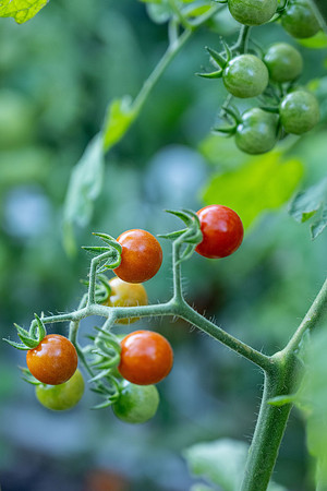 Nature on Campus - Aug 2024
