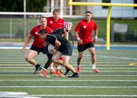 Rugby Championships.