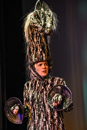 The theatre department's dress rehearsal of the Wind in the Willows in the Snow Drama Theatre.