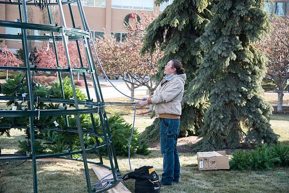 Christmas Tree at the Taylor Quad.