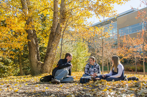 Fall Foliage, BYU-Idaho- Oct 2013