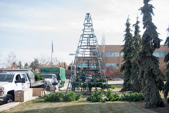 Christmas Tree at the Taylor Quad.