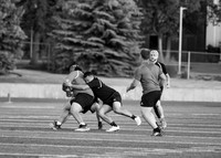 Rugby Championships.