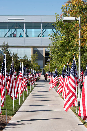 500 flags displayed in the Central Quad on Constitution Day.