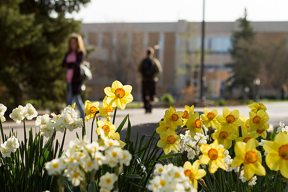 Students pass by the library and Romeny building as they go to classes on the first day of school during the 2014 Spring Semester.