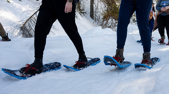 Snowshoeing at Bear Gulch - Mar 2025
