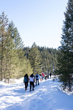 Snowshoeing at Bear Gulch - Mar 2025