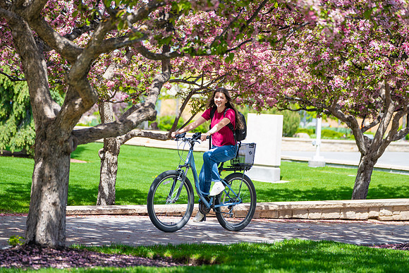 Bike Lock - May 2025